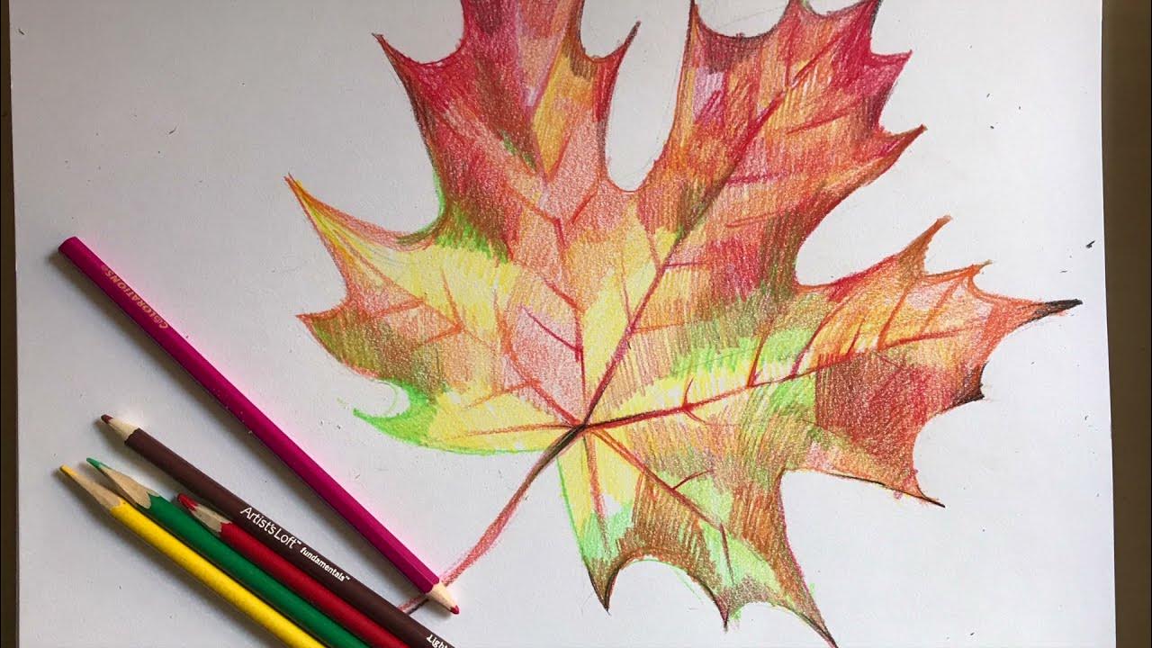 Рисование кленового листа. Кленовый лист рисунок. Кленовый лист цветными карандашами. Листья цветными карандашами. Листья цветными карандашами.