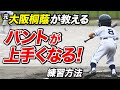 【少年野球】バントが上手くなる練習法　コツを知ればバントが楽しくなる！