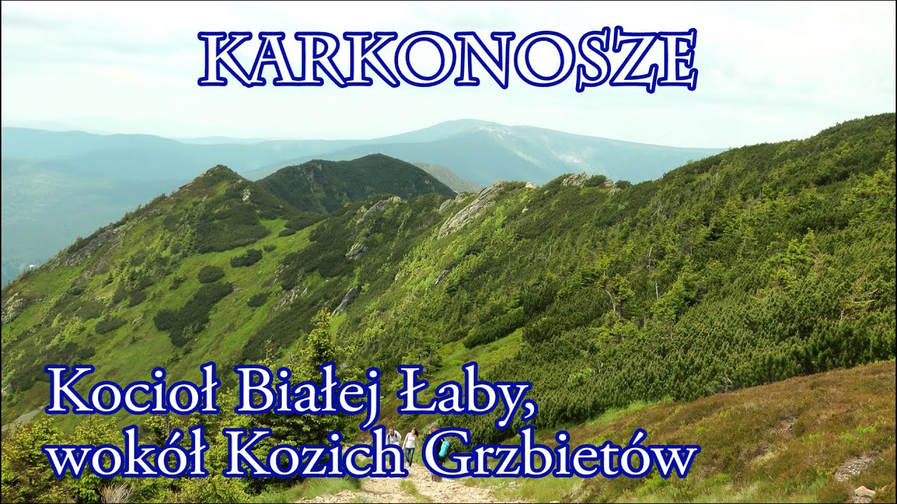🇨🇿 KARKONOSZE » Kocioł Białej Łaby - wokół Kozích hřbetów - Špindlerův Mlýn