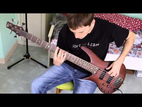[Cover] Amon Amarth - Live Without Regrets