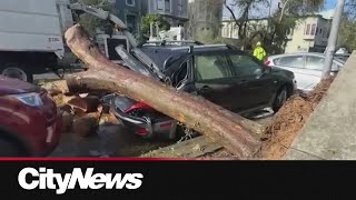 A historic weather event for a popular California city