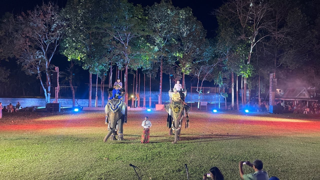 พบกับแสงสีเสียง💢คู่ทองหยิบทองหยอด‼️ปราสาททนงอำเภอปราสาทสุรินทร์