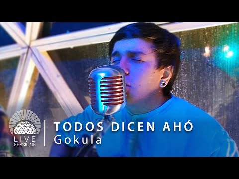TODOS DICEN AHÓ