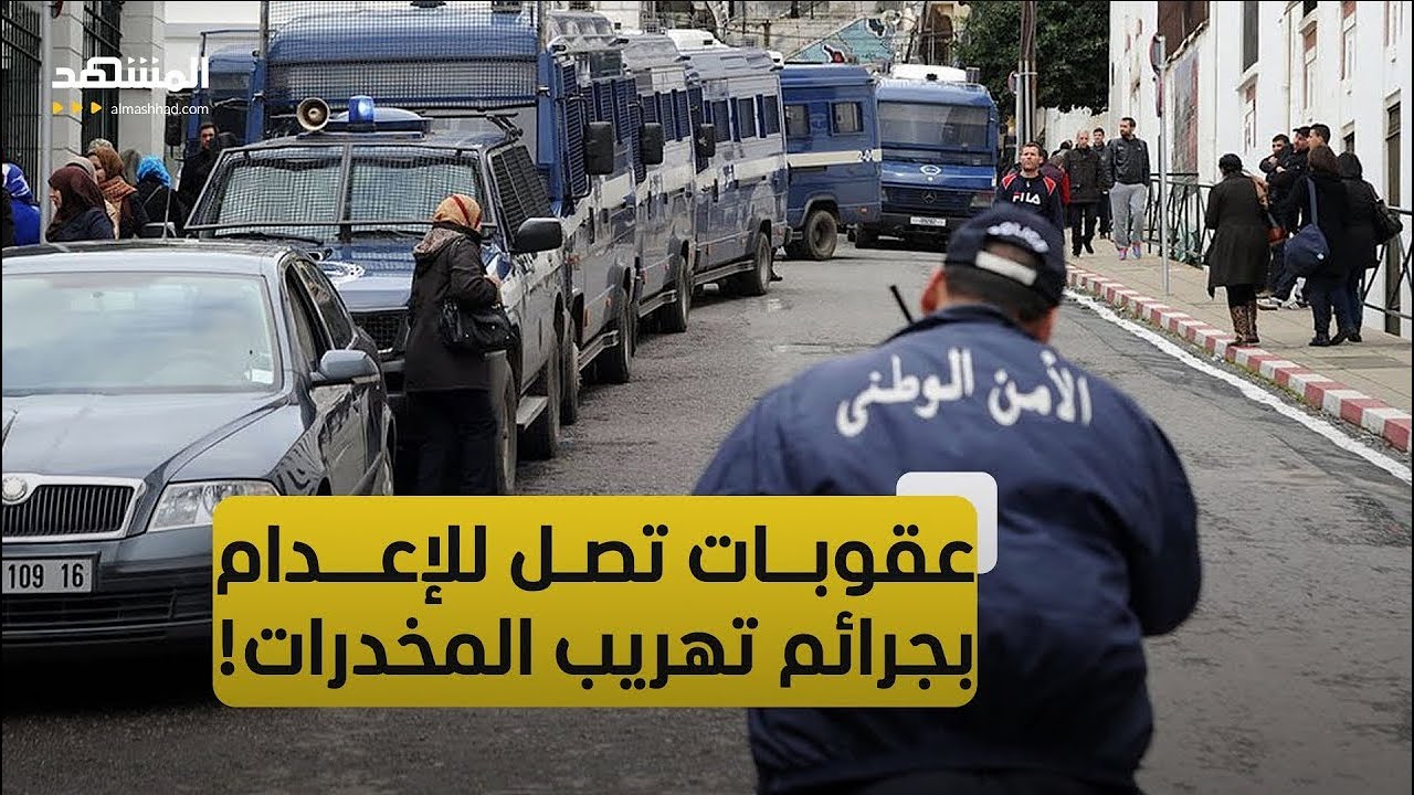 Алжирский юрист: Новый законопроект не остановит незаконный оборот наркотиков.