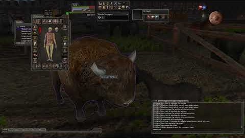 Wurm Online - PvP on Defiance - Weapon and Shield Skill