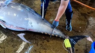 Gorgeous bluefin tuna cutting skills