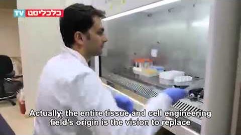 Prof. Amit Gefen on Calcalist