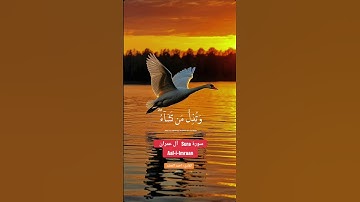 ما تيسر من سوره ال عمران بصوت القارئ احمد الخضر الا بذكر الله تطمئن القلوب 💕