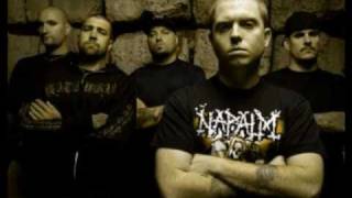 Hatebreed: Every Lasting scars