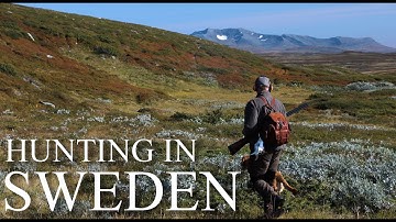 Grouse Hunting in Northern Sweden - Cinematic