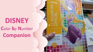 DISNEY - Color by Number - COMPANION book