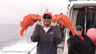 5.23.17 ¾ limits of Rock Cod & Limits (48) Ling Cod for 24 Anglers on the Check Mate