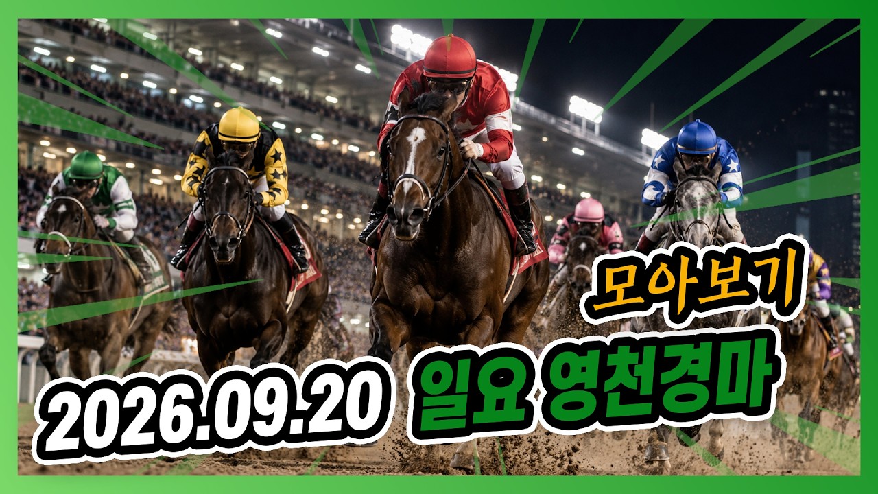 2026년 9월 20일 일요 영천경마 전체경주 모아보기