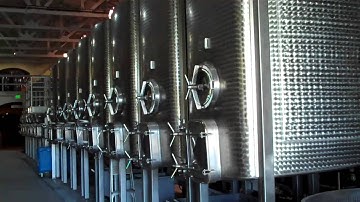 Grape Sorting at Merryvale Vineyards