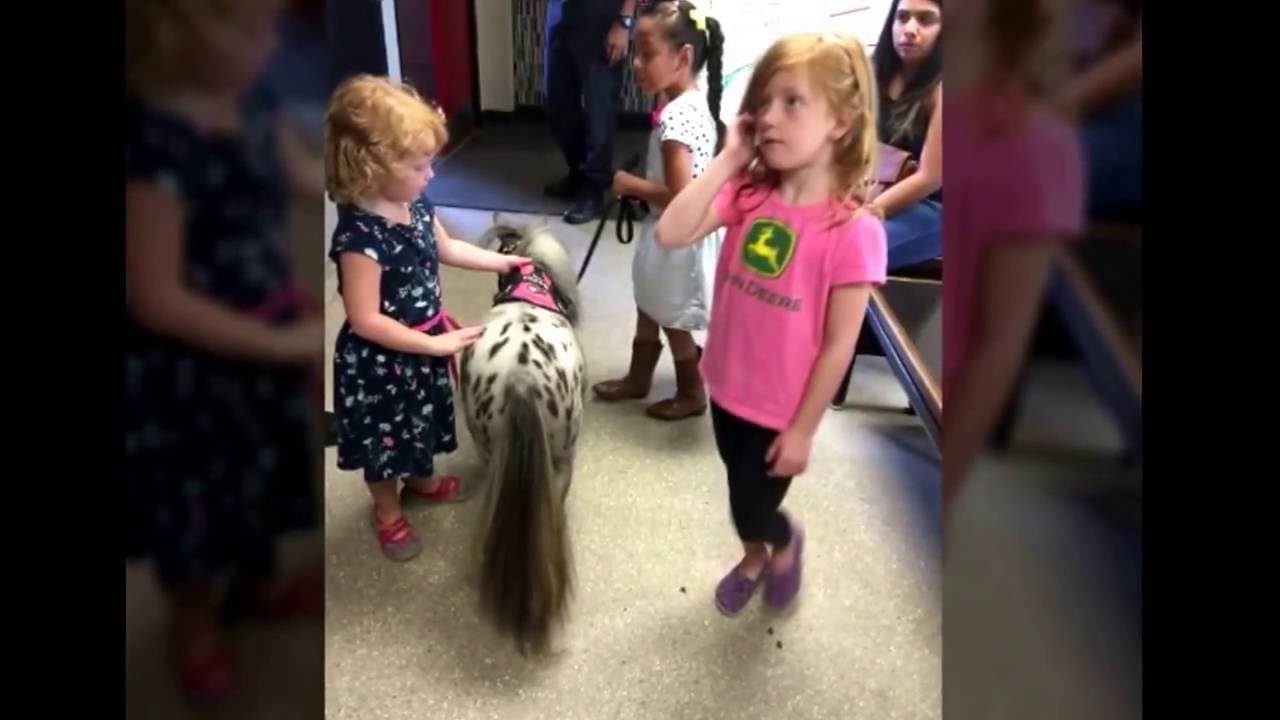 MHOL with Dallas Firestation #18 on 9/11 and Family Day! THANKS