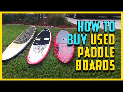 Vídeo: Pup Paddleboards 150 Milles Per Aconseguir Diners Per Als Gossos De Servei