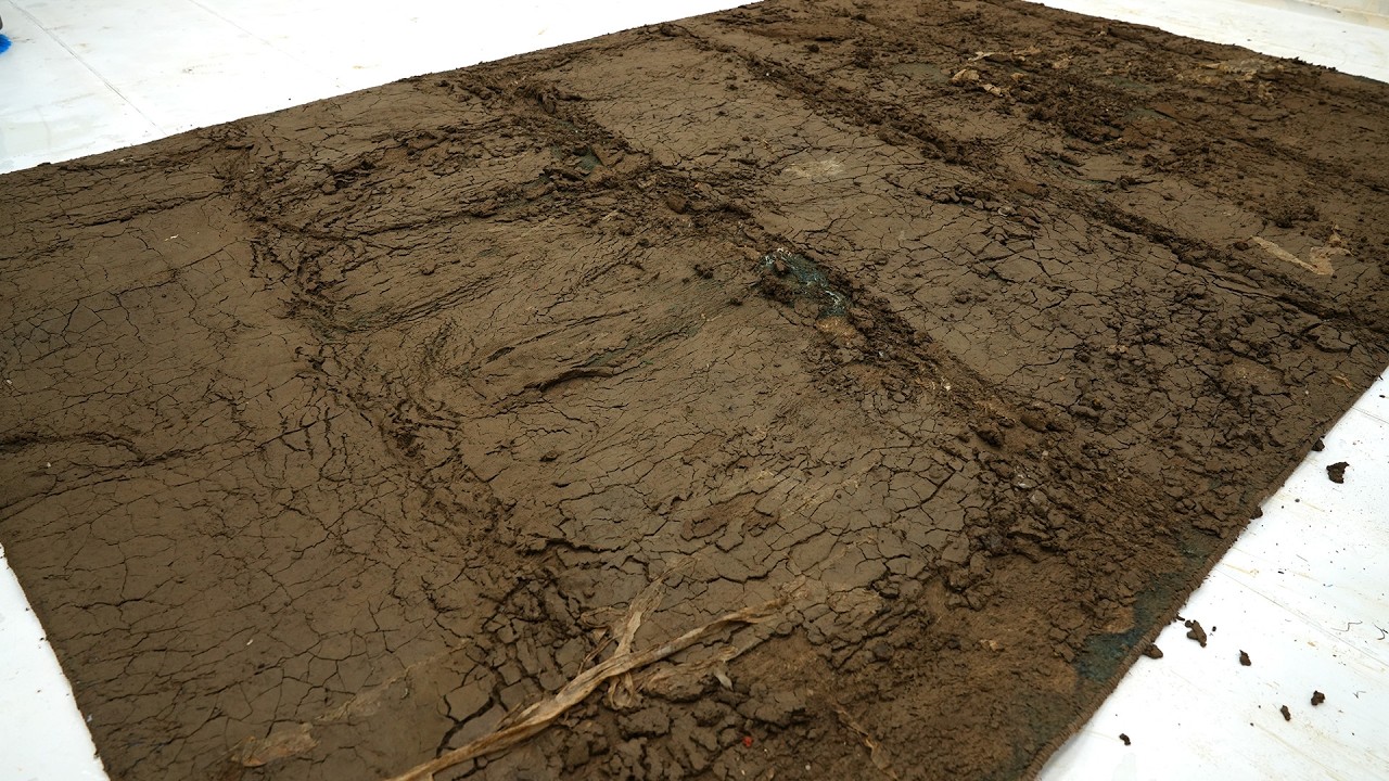 Watching All This Mud Get Pushed Out Is Weirdly Satisfying | Extreme Carpet Restoration ASMR