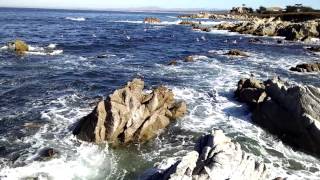 Amazing colors and wild birds of the Pacific Ocean by longfloat 44 views 9 years ago 45 seconds