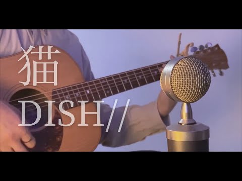 DISH// ‐ 猫 cover