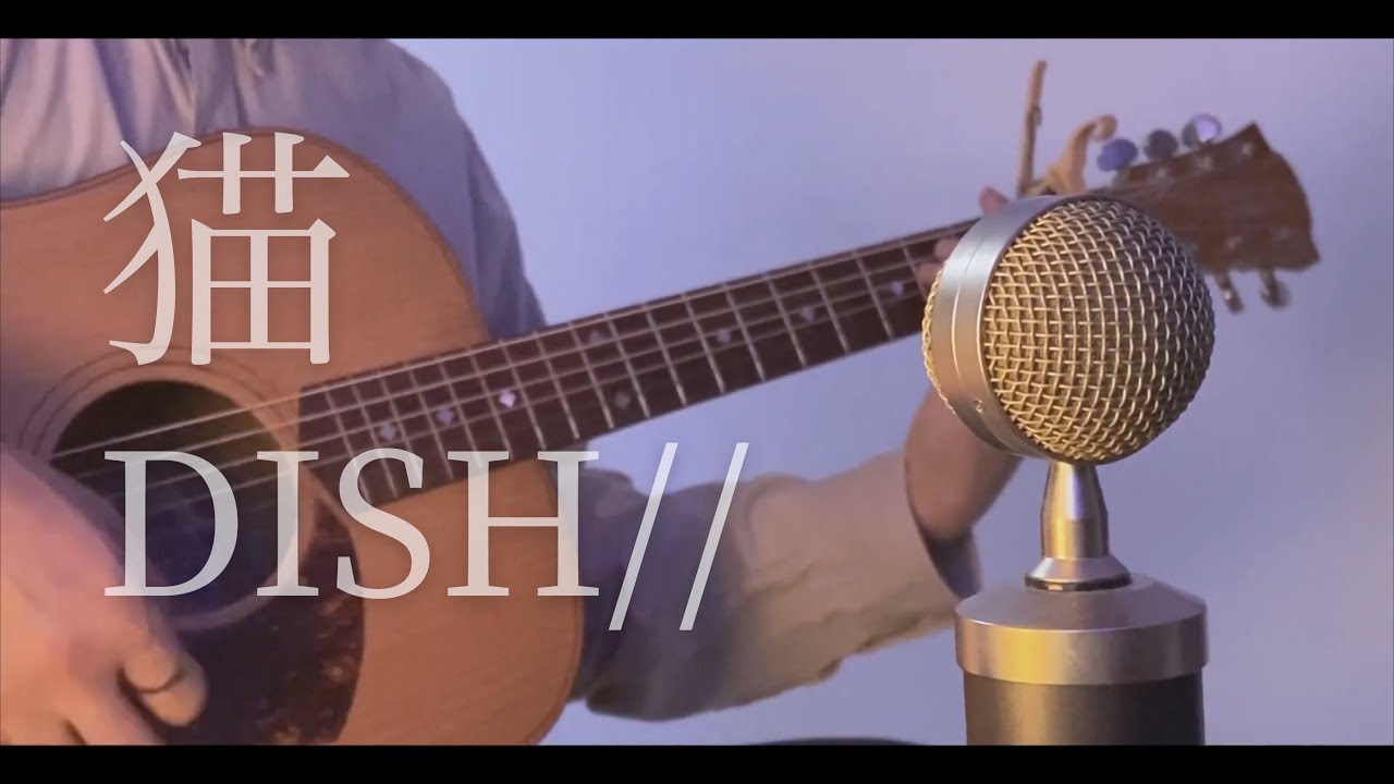 DISH// ‐ 猫 cover