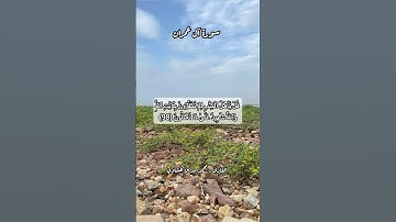 سورة آل عمران ٩٨#قرآن #قرآن_كريم #قران #قران_كريم #قرأن #quran