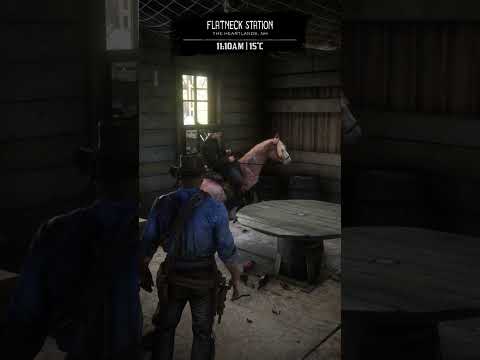 What In The Hell Is This 🤣#funny #memes #rdr2