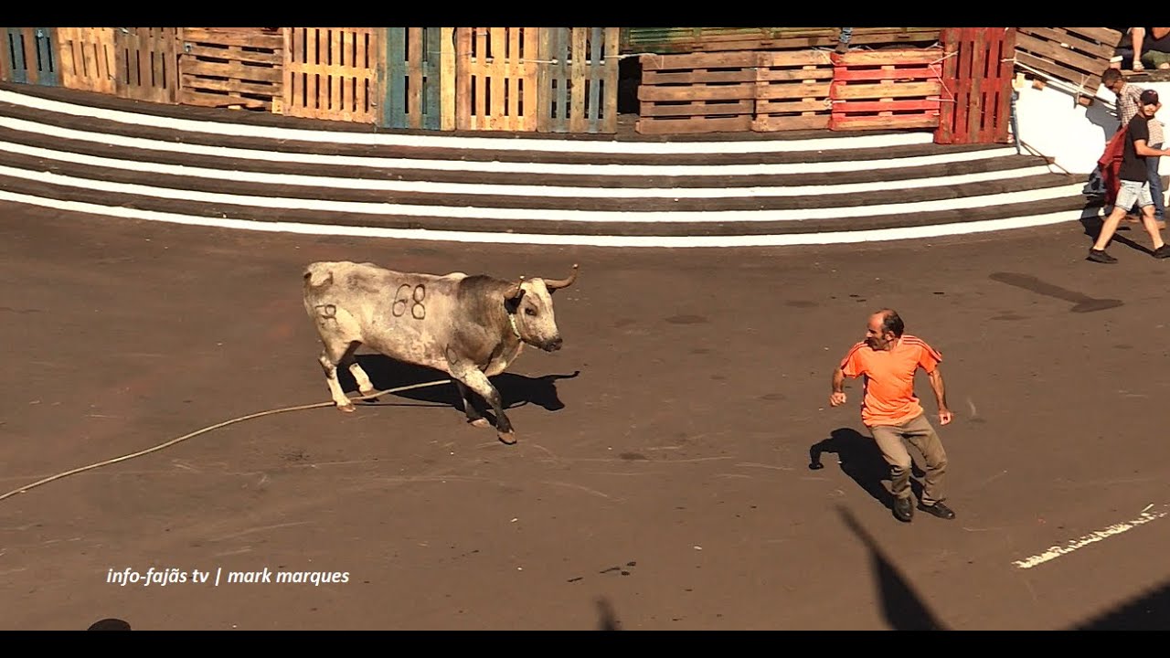 “2ª TOURADA À CORDA” – Festa de Nª Srª do Rosário - Rosais – Ilha de São Jorge (18.08.2025)