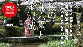桜の兼六園と金沢城   4K  Cherry Blossoms in Kenrokuen Garden and Kanazawa Castle