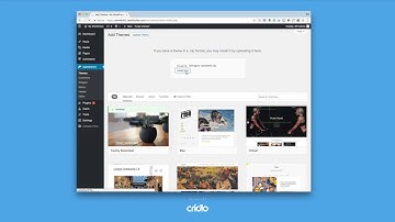 ListingPro WP - Install Theme & Plugins [ Quick & Easy Setup ]