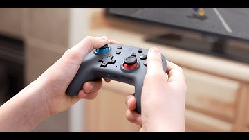 Nano Enhanced Wireless Controllers Nintendo Switch Take on Switch Pro Controller