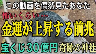 【※宝くじ３０億円当選】この動画を偶然見つけたあなた！怖いくらい金運が上昇する前兆「酒列磯前神社」宝くじ高額当選祈願【遠隔参拝】