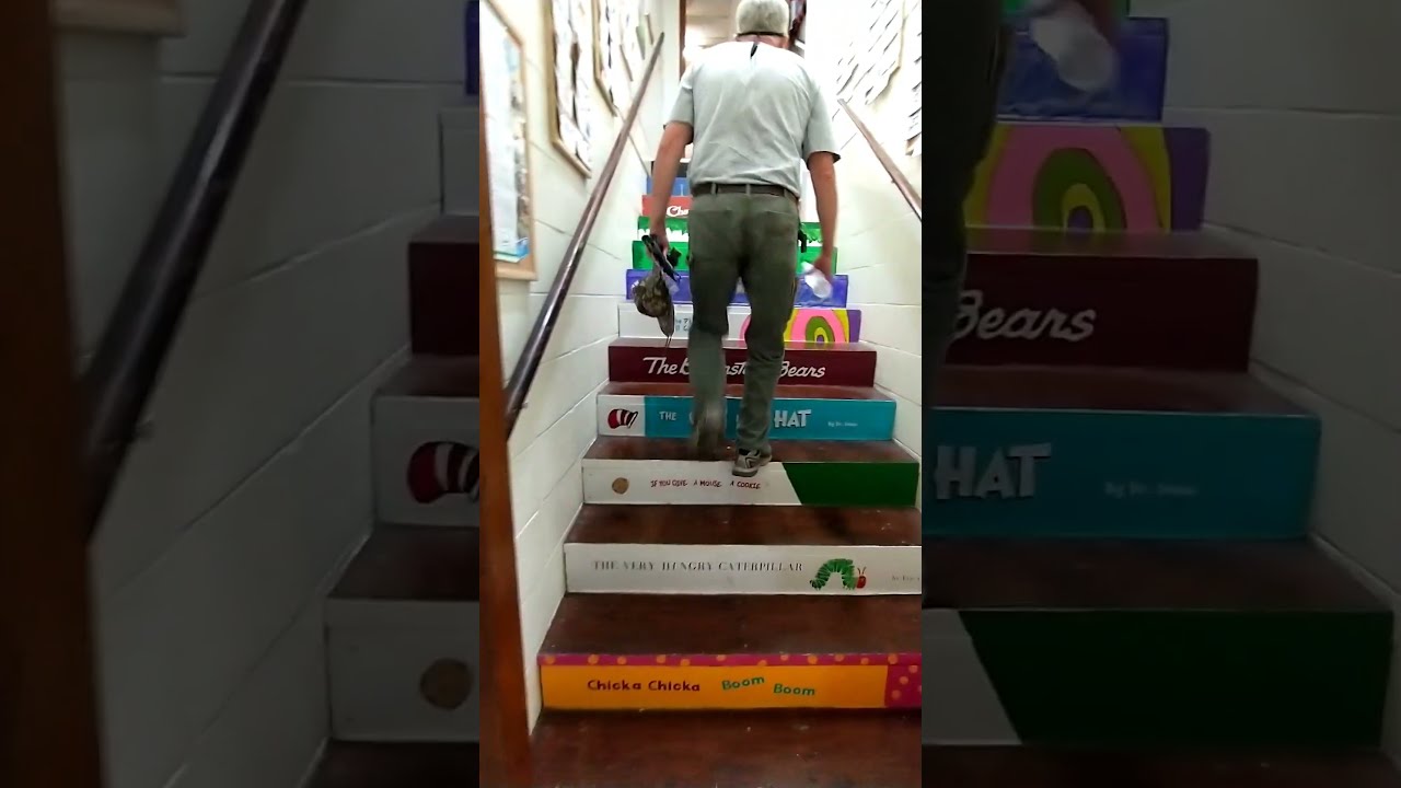Stairs That Make You Smarter 