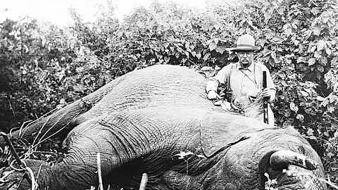 NFM Treasure Gun - Theodore Roosevelt's Adolph Dou...