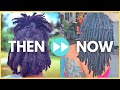 ✨ MY 3 YEAR THICK LOC JOURNEY ✨ | With Loc Styles, Pictures, and Videos!