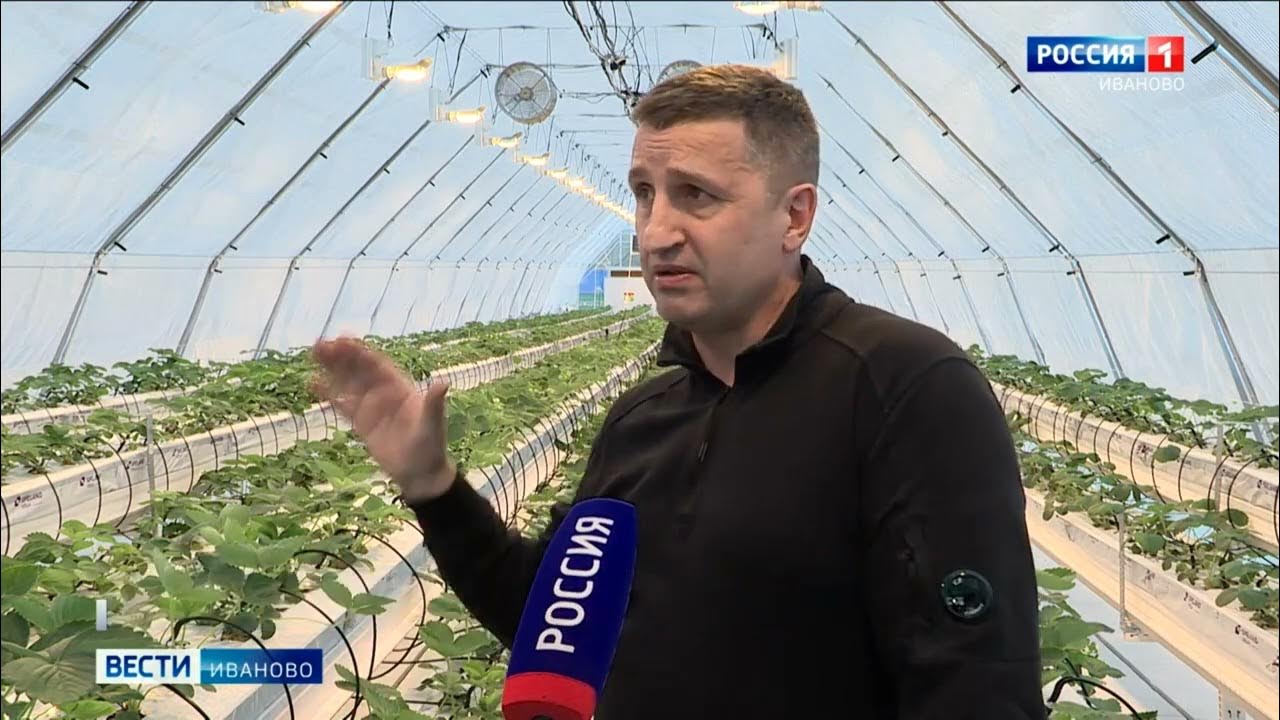 Платформа смотрим. Наира касаева гтрк алания ведущая. Вести липецк сегодняшний россия 1. Вгтрк 4. Вгтрк логотип.