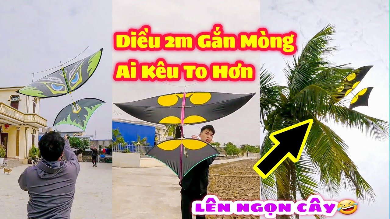 Thả Diều 2m Batman Mắc Lên Ngọn Cây Và Thi Làm Mòng Diều Kêu To Và Cái Kết Tuấn Bảng Bái Phục