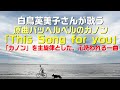 【和訳:白鳥英美子さん】原曲パッヘルベルのカノンを主旋律にした「This Song for you」皆様に聞いて欲しい、心洗われる曲:是非、概要覧もご覧ください