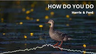 Harris & Ford - HOW DO YOU DO
