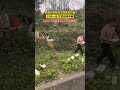 高速大堵车男子摆摊卖炒面，15元一份 生意应接不暇，网友：炒不过来 根本炒不过来