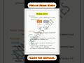 Median Nerve Notes #Anatomy notes #shorts #ytshorts #youtubeshorts #mbbsnotes #medical #medical
