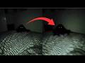 14 SCARY VIDEOS That Ll Make Your BLOOD RUN COLD 14 SCARY VIDEOS That Ll Make Your BLOOD RUN COLD