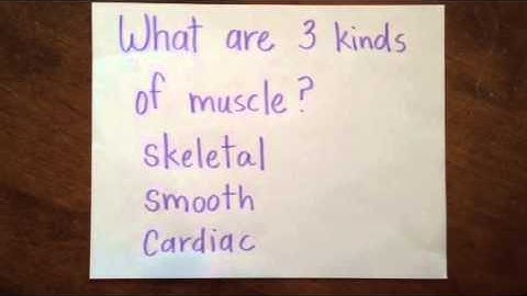 Hub City CC science cycle 3 week 3