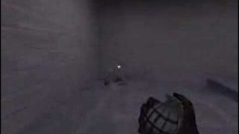 Half-life weapon switch glitch