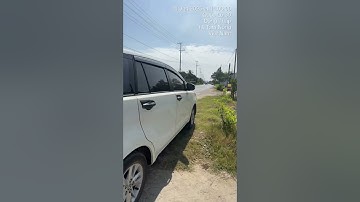 Cá trê vàng rặc giống #catre #catregiong #catrevang #cá_giống #trại_cá_giống_út_me 0909770509