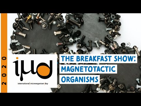 Video: Vad används magnetosomer till?