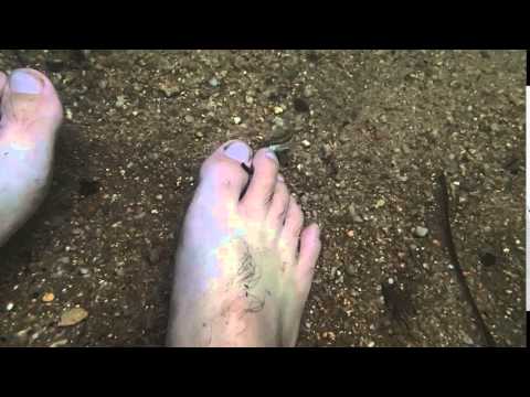 P5181732 camera iphone 8 plus apk