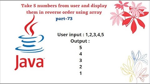 Take 5 numbers from user and display them in reverse order using array || part-73