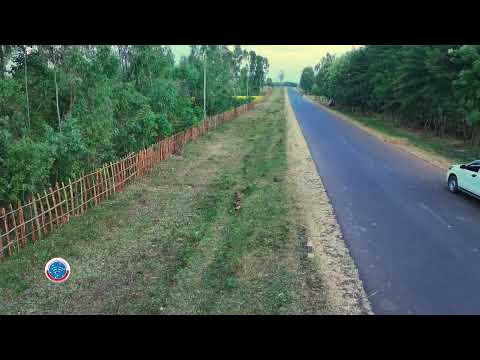 Jalqabbii Koridara Baadiyaa Godina Horro Guduruu Wallaggaa