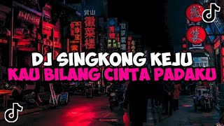 DJ SINGKONG KEJU VINKY YT || KAU BILANG CINTA PADAKU JEDAG JEDUG MENGKANE VIRAL TIKTOK