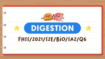 SCIENCE MADE SIMPLE EP14 | Digestion | Statements About Digestion In The Stomach 🍽